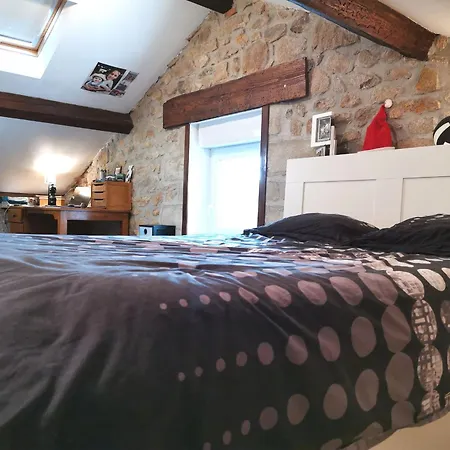 Maison Avec Piscine Privee Et Jardin A 5 Min Du Puy-en-velay, Ideale Pour Decouvrir La Haute-loire - Fr-1-582-320 *